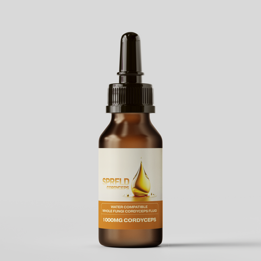 CORDYCEPS - SPRFLD